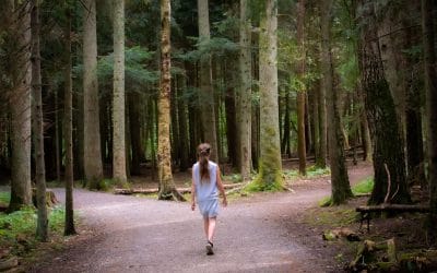 Wat wil ik nu eigenlijk?