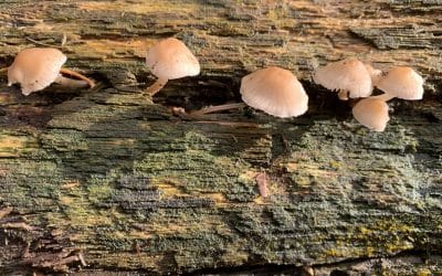 Gelukkig zijn doe je maar in je eigen tijd