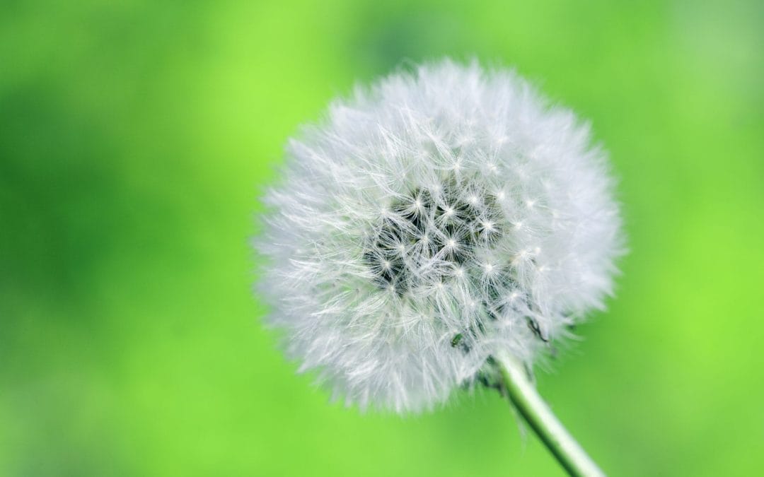 En opeens is alles anders