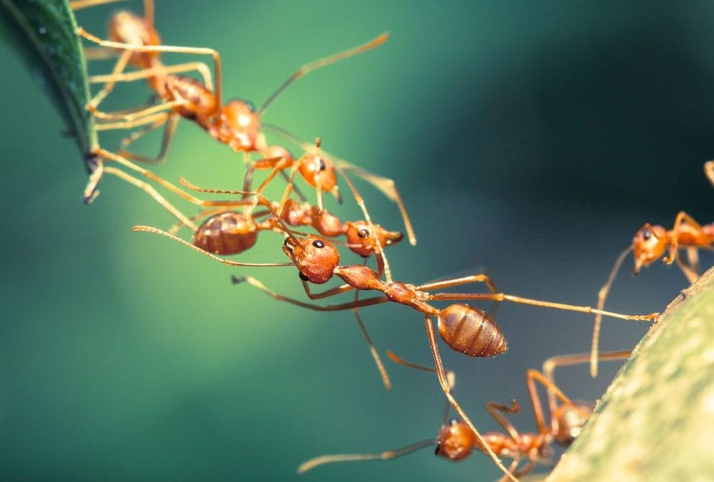 Hoe kom jij je dag door?
