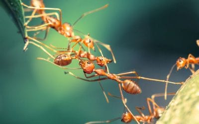 Hoe kom jij je dag door?