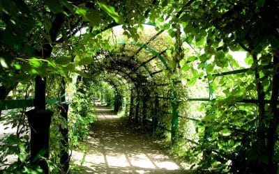 Lastig gesprek voor de boeg? 5 tips