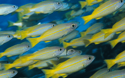 Voel jij de urgentie al?