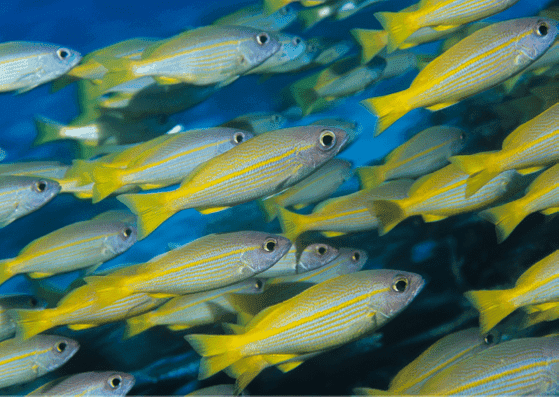 Voel jij de urgentie al?