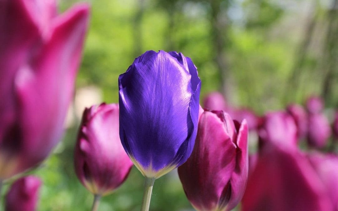 Functioneringsgesprekken afschaffen? NEE!!