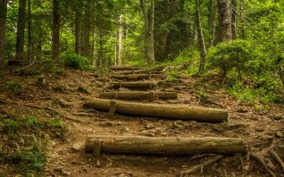 Hoe vaak trap jij op de rem?