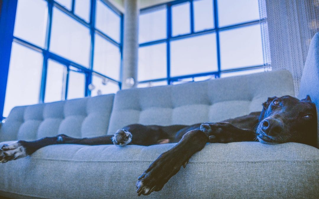 Nooit meer uitgeblust op de bank hangen