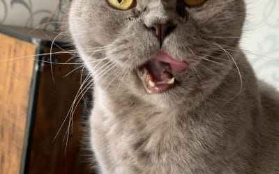 Wat iedereen zou moeten weten als het gaat om veranderen…