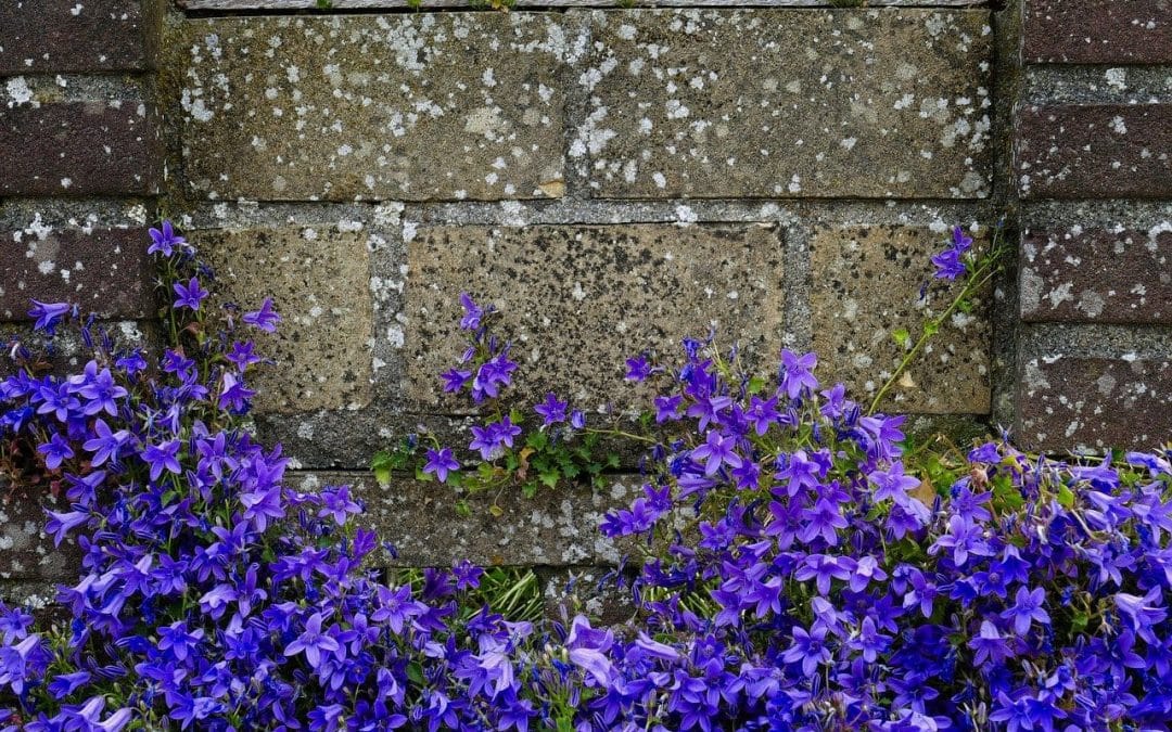 Blêhh morgen moet ik weer…