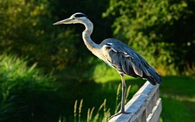 Wat je van deze kamikaze piloot kunt leren…