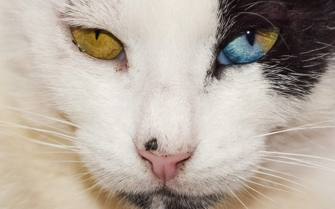 Wat als je echt gelijk hebt…