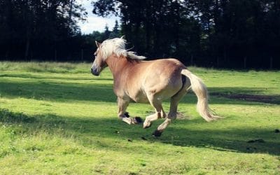 Het is maar 1 woordje wat je hoeft aan te passen..