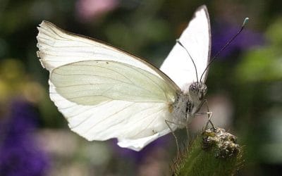 Wat te doen als je in de knoop zit…