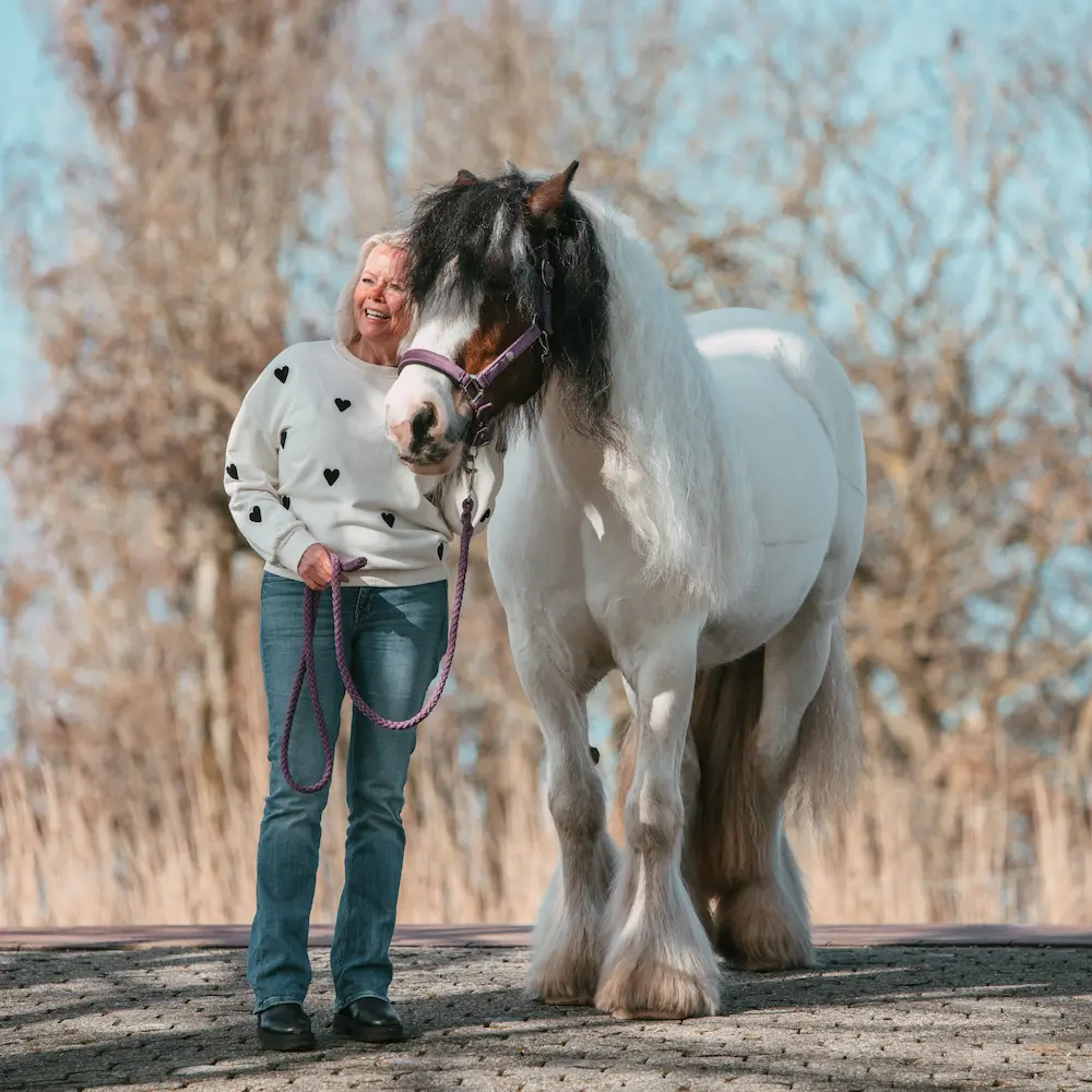 veiligheid verbinding